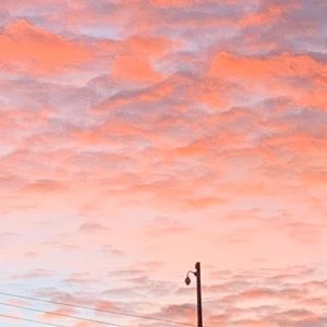 Meet your Posher, Camille